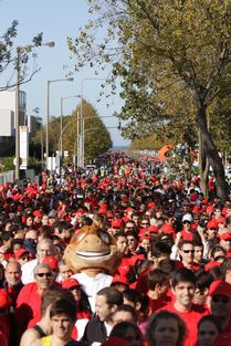 Maratona do Porto